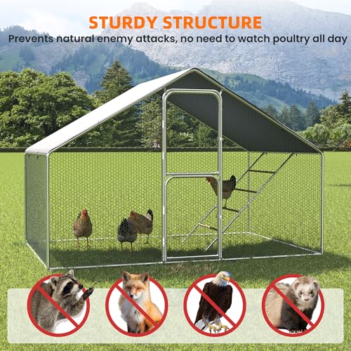 UDPATIO Large Metal Chicken Coop Walk in, Outdoor Heavy Duty Chickens Pen Run w/Cover for 10-15 Chickens - Predator Proof Poultry House - size: 72.0"L x 120.0"W x 72.0"H