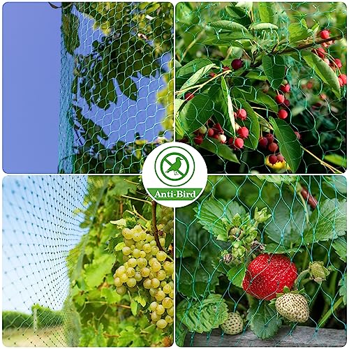 Bird Netting for Garden 13x33ft - Sukh Garden Netting Mesh for Garden Protection Bird Fence Plant Netting Chicken Coop Deer Squirrels Poultry Protect Fruit Trees Vegetable