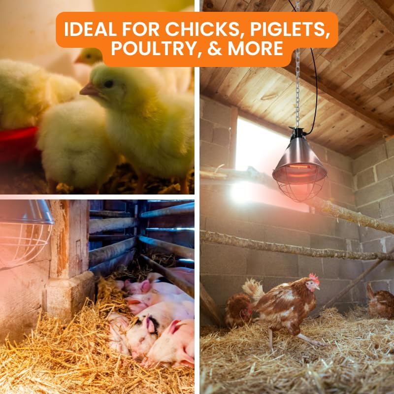 IVS 250W Bulb Infrared Halogen Lamp Holder - Livestock Heating Equipment | 14.5” x 8.5” Durable Heat Lamp - Safe Piglets Poultry Small Chicks Equipment
