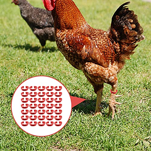 100 Pack Poultry Leg Bands - Durable Numbered Chicken and Duck Identification Rings for Easy Breed Management(Red,2 Packs) - color: Red, size: 2 packs