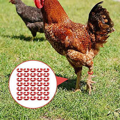 100 Pack Poultry Leg Bands - Durable Numbered Chicken and Duck Identification Rings for Easy Breed Management(Red,2 Packs) - color: Red, size: 2 packs