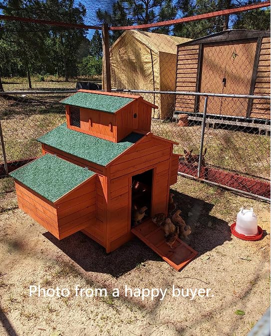 Deluxe Large Wood Chicken Coop Backyard Hen House 6-10 Chickens with 6 Nesting Box