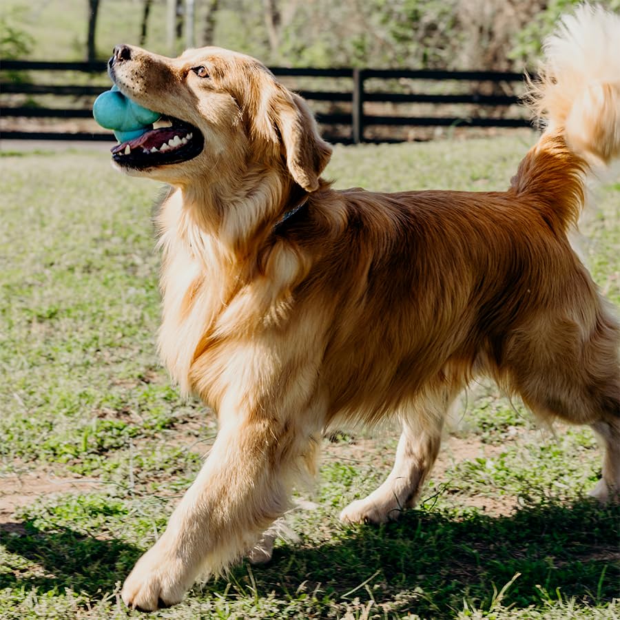 Playology Dog Toys | Squeaky Bounce Ball for Large Dogs | Peanut Butter Scented Jumbo Dog Ball for Interactive Play - style: Peanut Butter