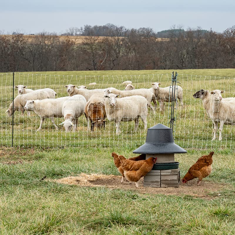 Premier 1 PoultryNet® 48"H x 100'L Portable Electric Double Spike Fence | Rigid PrimaPosts™ for Extra Strength | Blue/White Fence for Chickens, Ducks, Geese - color: Double Spike, Blue/White