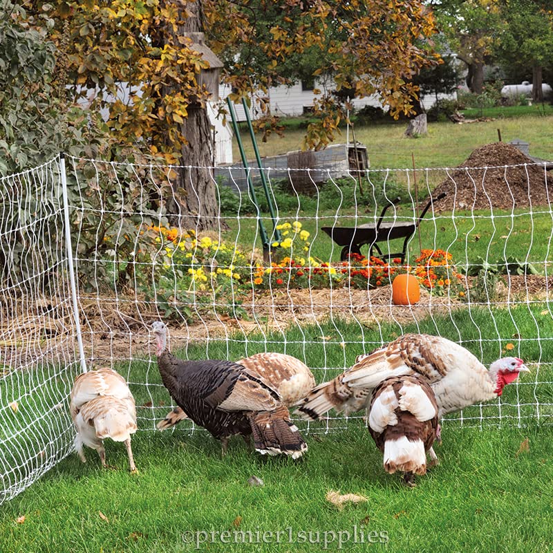 Premier 1 PoultryNet® Plus, Starter Kit for Chickens – 48"H x 100'L | White/black. Includes solar energizer, support posts & tester. Double spike, posts every 6.8 ft to reduce sag. For chickens.