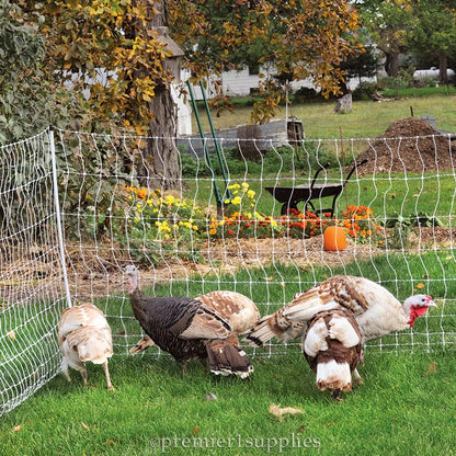 Premier 1 PoultryNet® Plus, Starter Kit for Chickens – 48"H x 100'L | White/black. Includes solar energizer, support posts & tester. Double spike, posts every 6.8 ft to reduce sag. For chickens.