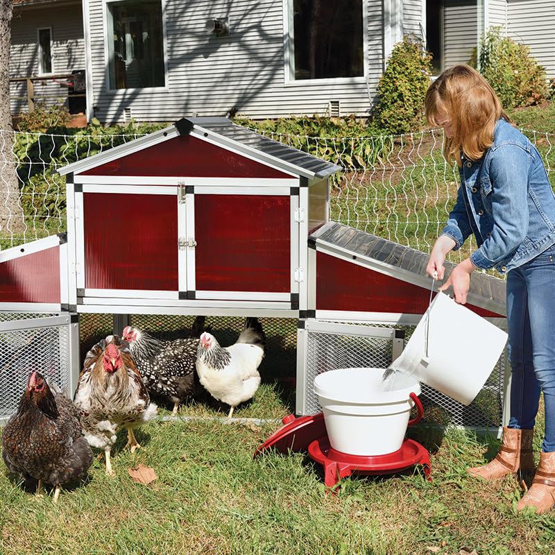 Premier 1 Quick Clean Poultry Waterer for Chickens & Poultry - 3 Gallon
