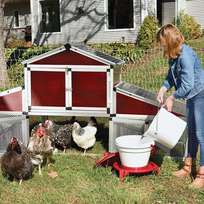 Premier 1 Quick Clean Poultry Waterer for Chickens & Poultry - 3 Gallon
