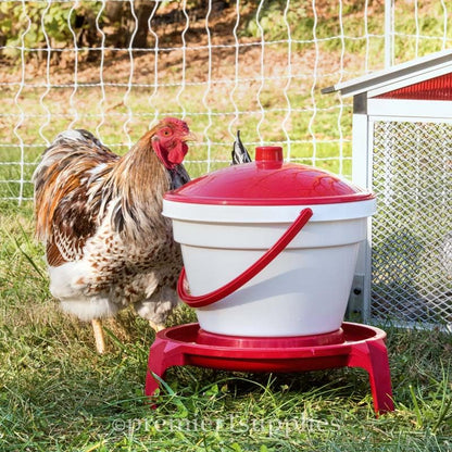 Premier 1 Quick Clean Poultry Waterer for Chickens & Poultry - 3 Gallon