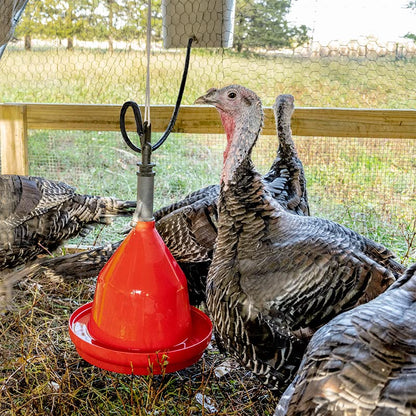 Premier 1 Suspended Dome Drinker for Chickens, Ducks, Geese & Turkeys
