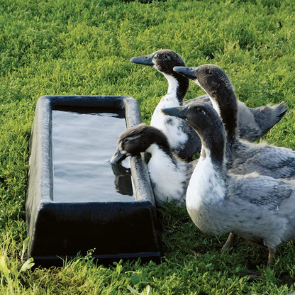 Premier 1 PortaTrough™ 3 - Portable Feed/Water Trough - 34" L x 12.25" W x 5.25" D