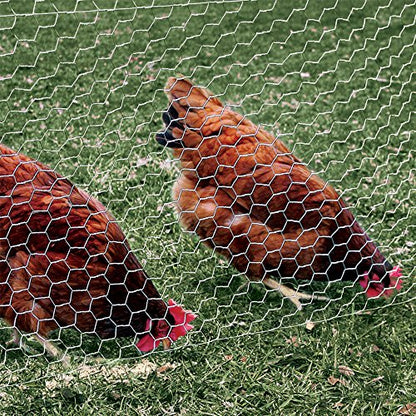 YARDGARD 1 Inch Poultry Netting, Chicken Wire Fence, 20 Gauge Galvanized Steel, Rabbit Fencing, Bird Enclosures, Garden Protection and Plant Support, 12 Inches x 150 Feet - size: 12 Inches x 150 Feet