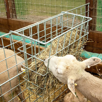 Premier 1 X-Tuff Single Sided Hay Feeder