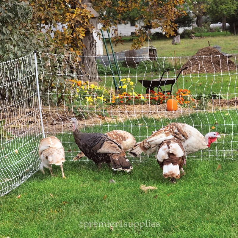 Premier 1 Portable PoultryNet® Electric Fence | Quick & Simple to Move | White/Black Fence for Chickens, Ducks, Geese – 48"H x 164'L | Best in Class 2" x 3" Spacings