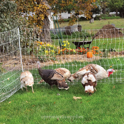 Premier 1 Portable PoultryNet® Electric Fence | Quick & Simple to Move | White/Black Fence for Chickens, Ducks, Geese – 48"H x 164'L | Best in Class 2" x 3" Spacings