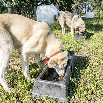 Premier 1 PortaTrough™ 3 - Portable Feed/Water Trough - 34" L x 12.25" W x 5.25" D