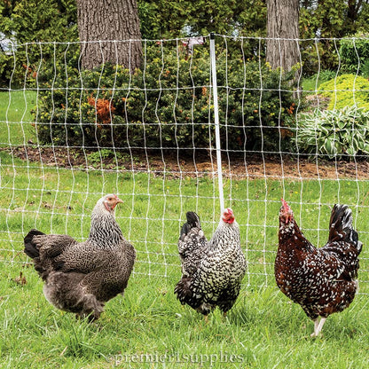 Premier 1 PoultryNet® Plus, Starter Kit for Chickens – 48"H x 100'L | White/black. Includes solar energizer, support posts & tester. Double spike, posts every 6.8 ft to reduce sag. For chickens.