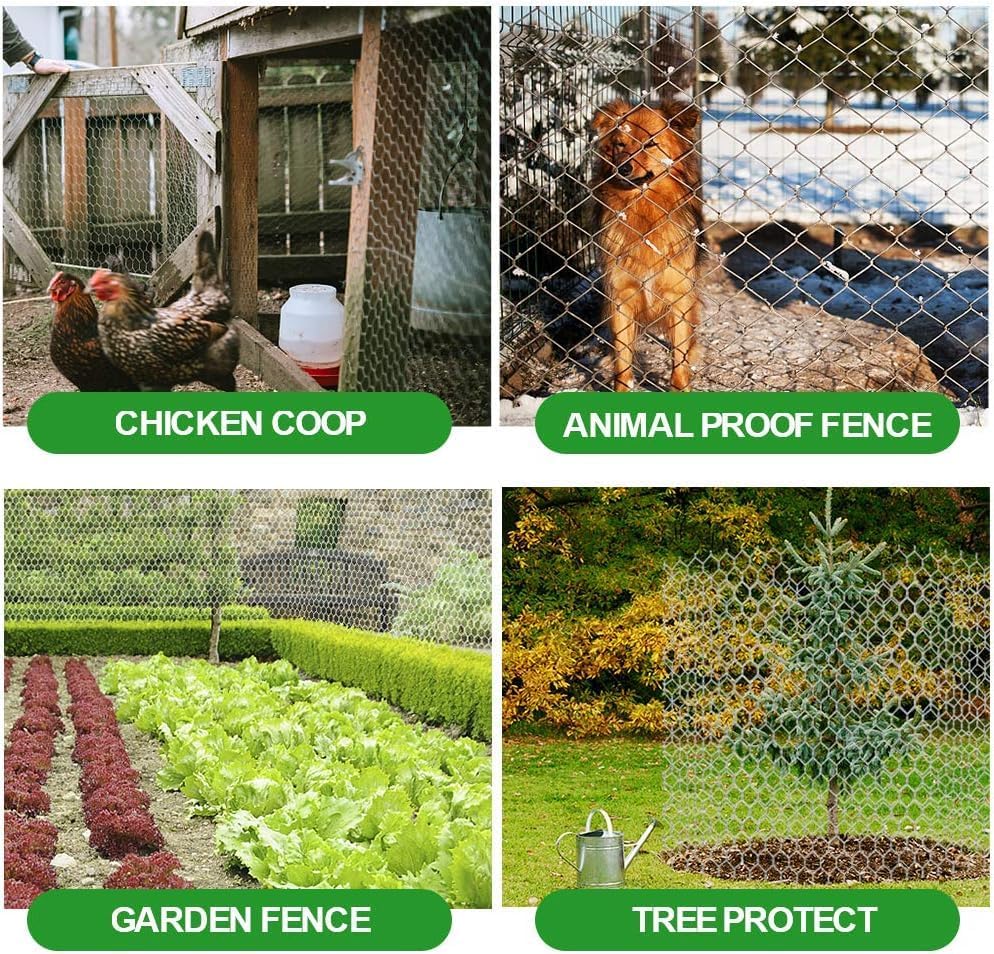 Amagabeli Chicken Wire Fencing 36inchx50ft Hexagonal Poultry Netting Galvanized Mesh Fence Chicken Netting Rabbits Pets Dog Cat Vegetable Garden fencing Barrier - color: Galvanized, size: 1" 36"x50'