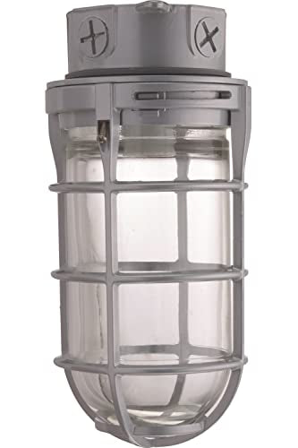Lithonia Lighting Jelly Jar Light Fixture, Incandescent Utility Vapor Tight Ceiling Lamp, Industrial Style Wall Light for Indoor and Outdoor Use, 150W, 120V, Includes Junction Box, Grey (VC150I M12) - size: 150W Max, style: Ceiling Mount
