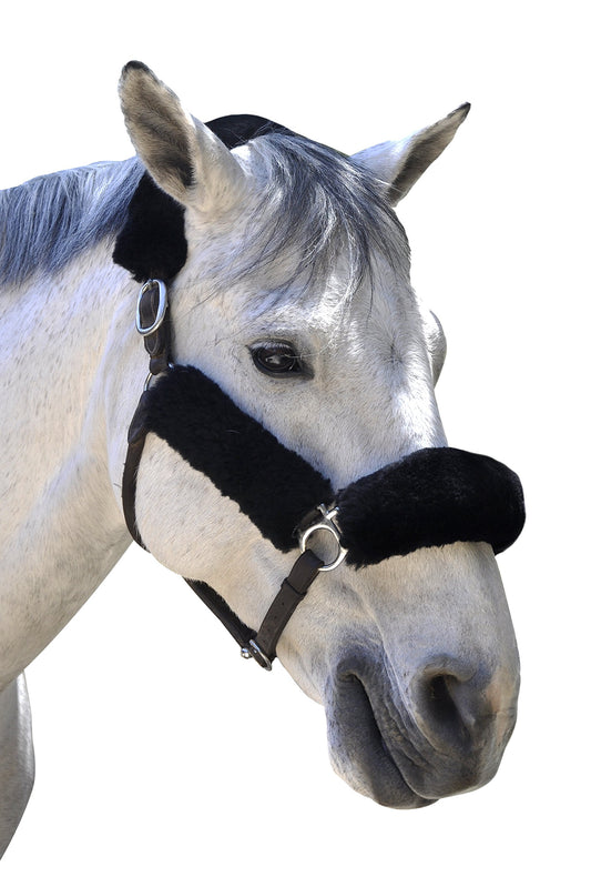 ECP Equine Comfort Products Merino Sheepskin Halter Fleece Set for Horses, 100% Natural Wool, Chafe Protection, Breathable Relief & Cushioned Comfort, Machine Washable, 4-Piece Set, Black - color: Black